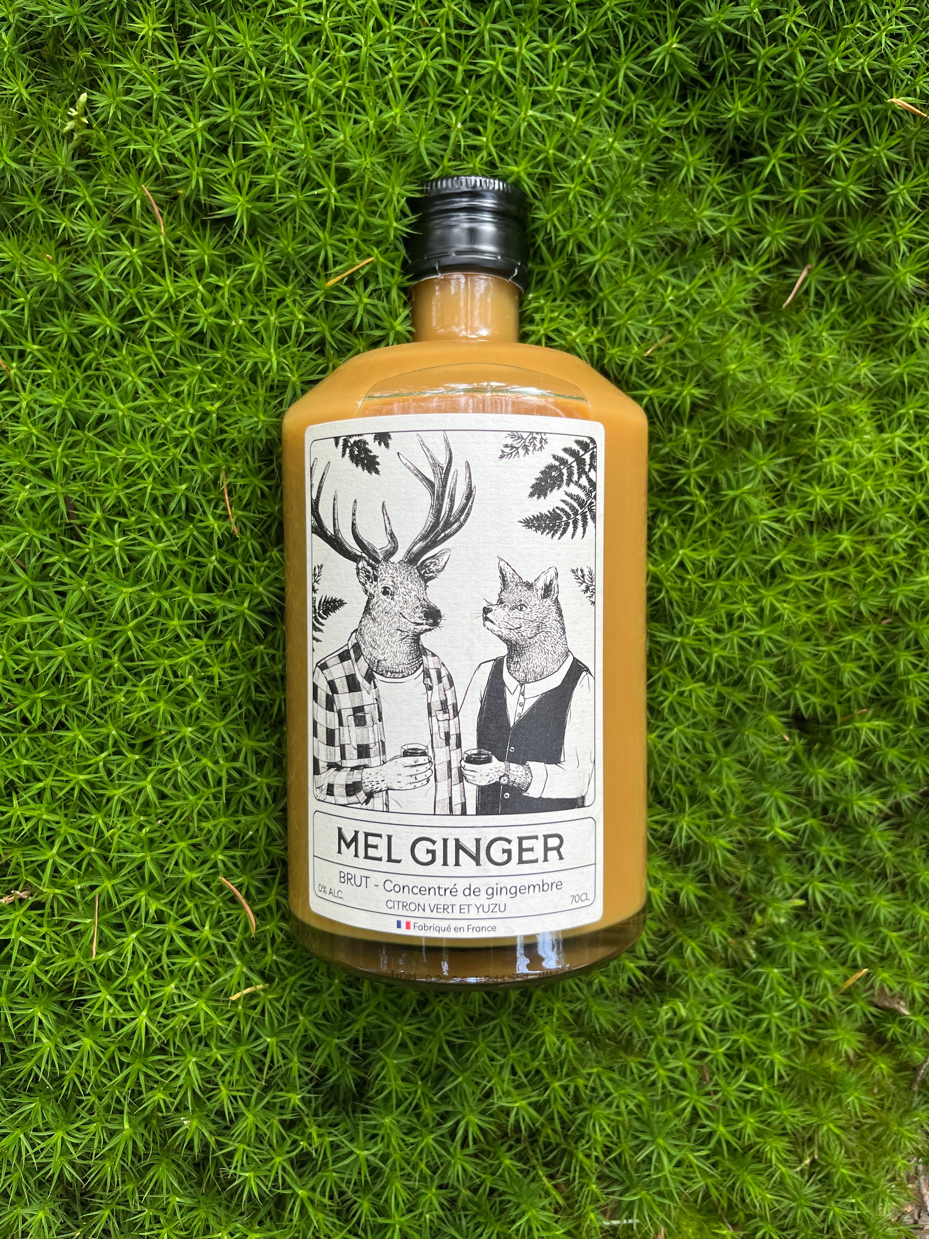 Mel Ginger